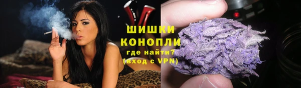 тгк Бронницы