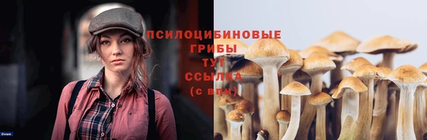 тгк Бронницы