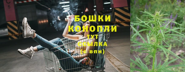 спайс Бородино