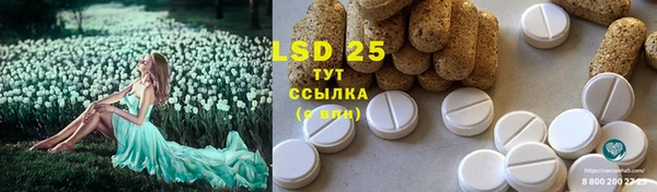 спайс Бородино