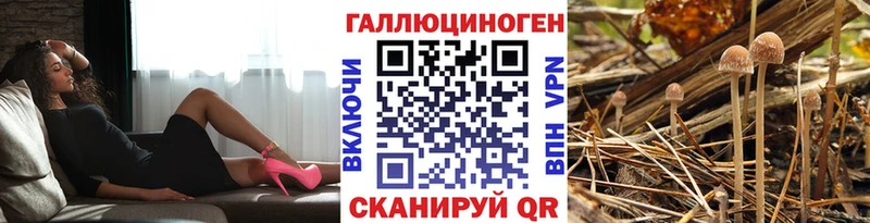 даркнет сайт  Красногорск  Галлюциногенные грибы мицелий 